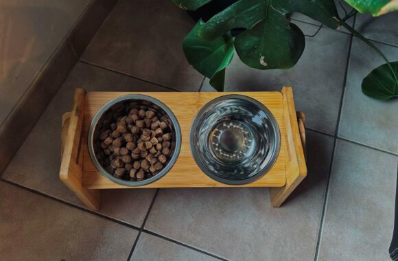 Review Pet Perfect Voerbak Honden